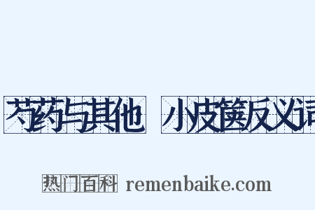 芍药与其他·小皮箧反义词是什么意思的图片